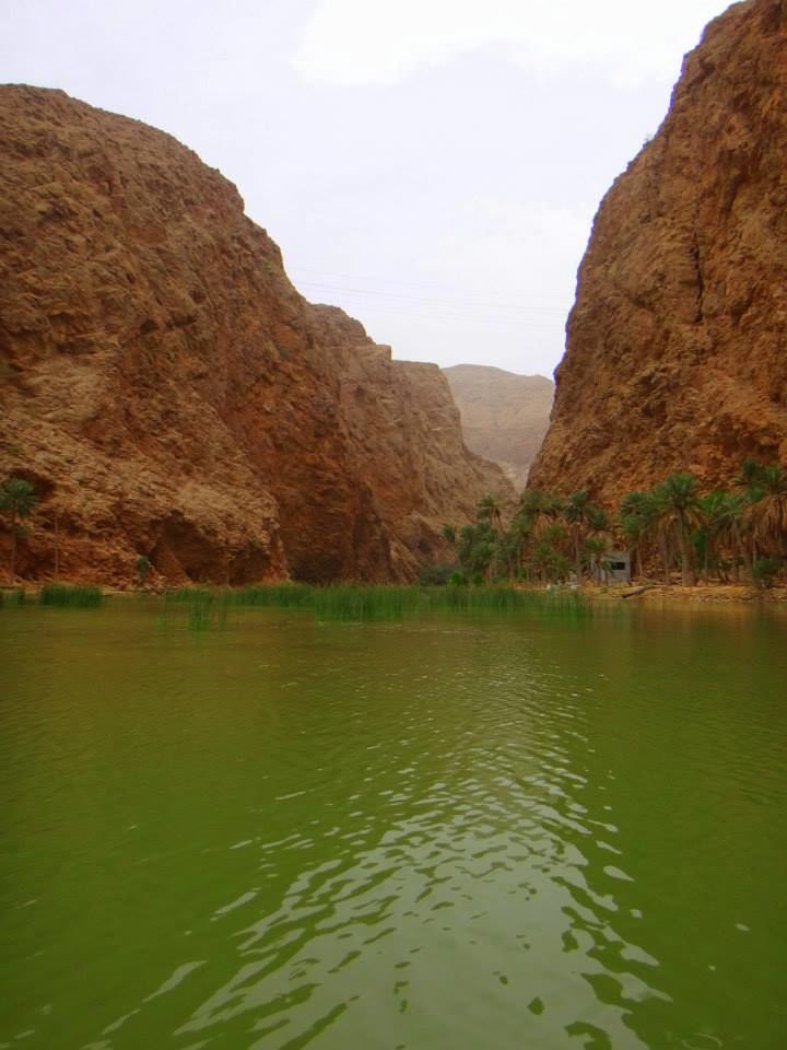 Photo of Wadi Shab Resort, Tiwi, Ash Sharqiyah North Governorate, Oman by Mrudula Gummuluri