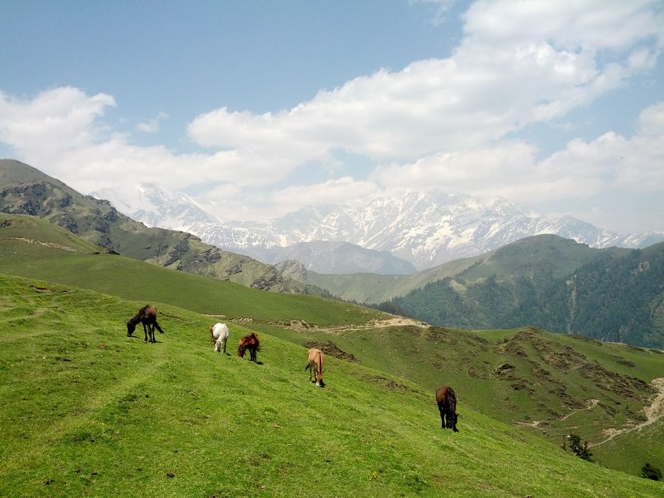 Photo of Roopkund: From Boredom to Freedom 15/35 by Omkar Ghanekar