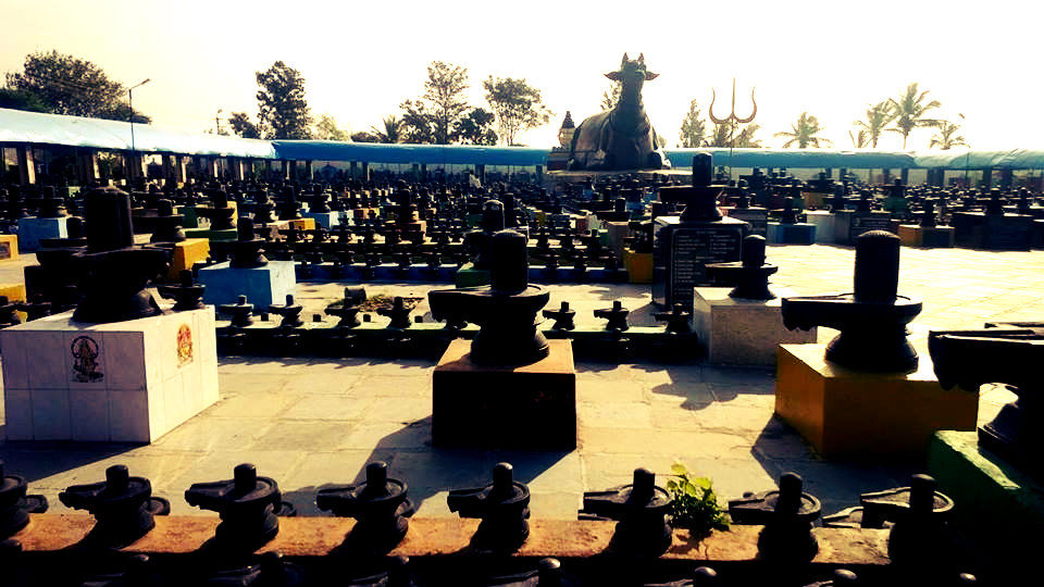 Photo of Kotilingeshwara Temple In Karnataka Is A Perfect Day Trip With Friends And Family 7/11 by Swathi Mudhunuri