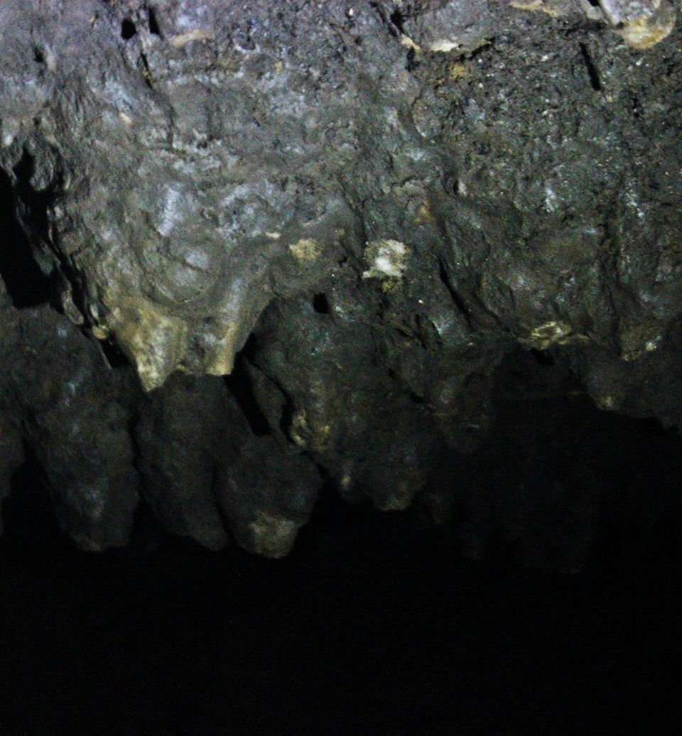Photo of Belum Caves -water kissed limestone 16/19 by Swathi Mudhunuri