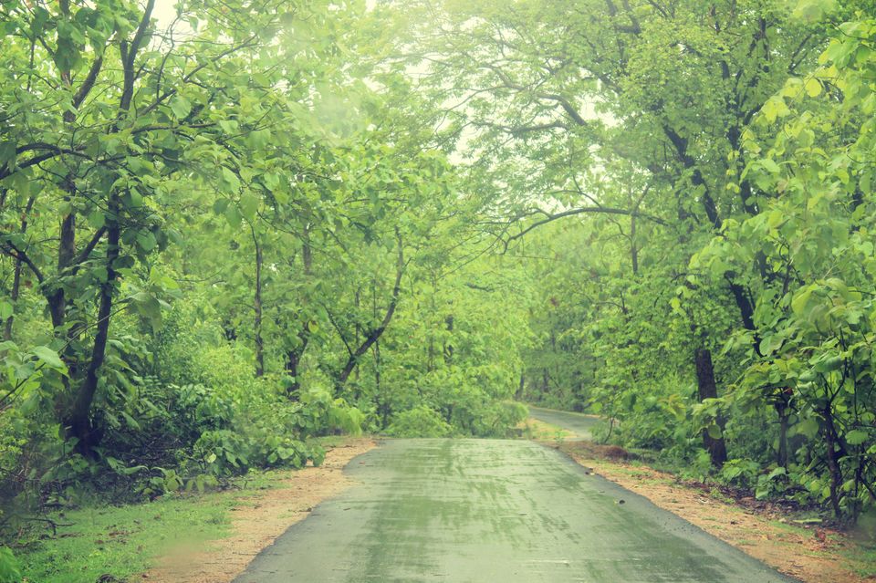 Photo of KUNTALA- niagara of telengana 4/17 by Swathi Mudhunuri
