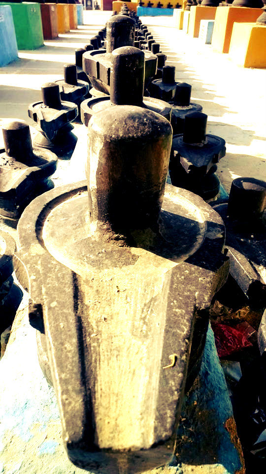 Photo of Kotilingeshwara Temple In Karnataka Is A Perfect Day Trip With Friends And Family 9/11 by Swathi Mudhunuri