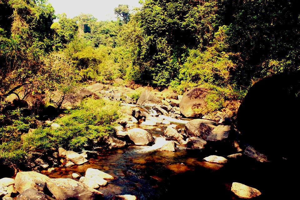 Photo of BISLE GHAT - a stretch of alluring beauty 5/10 by Swathi Mudhunuri