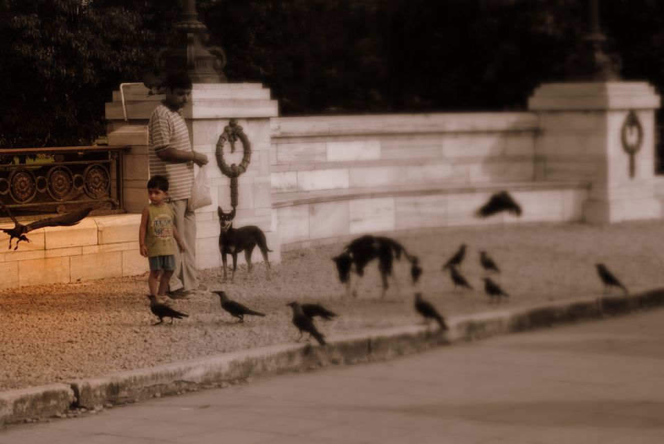 Photo of A photograpic journey through Kolkata 6/12 by Debanjan Basu