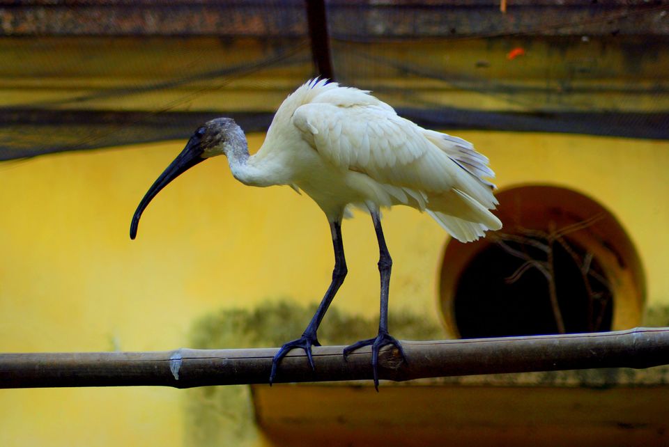 Photo of A photograpic journey through Kolkata 9/12 by Debanjan Basu