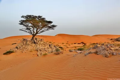 Photo of Wahiba Sands Desert, Ash Sharqiyah, Oman by Chaitali Patel