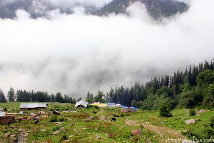 Photo of Eat, Trek and Love in Kasol 6/8 by Debarati Dasgupta