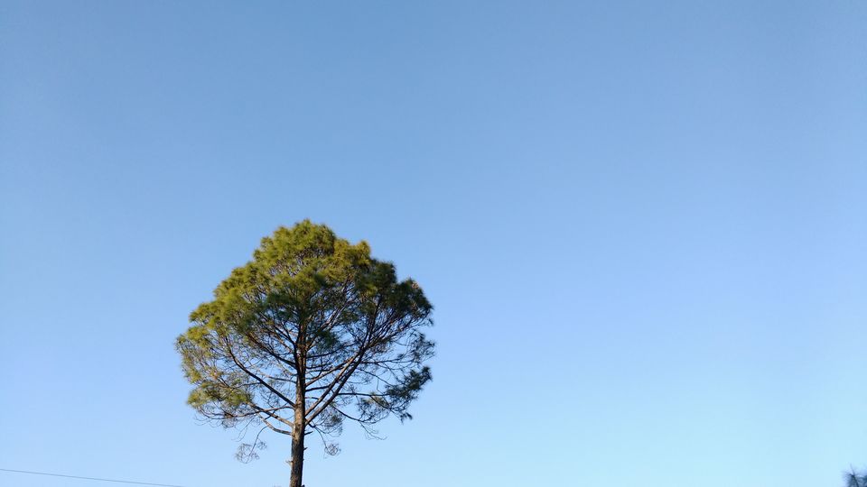 Photo of The Chronicles of Kumaon – Ranikhet and Majkhali 6/12 by Debarati Dasgupta