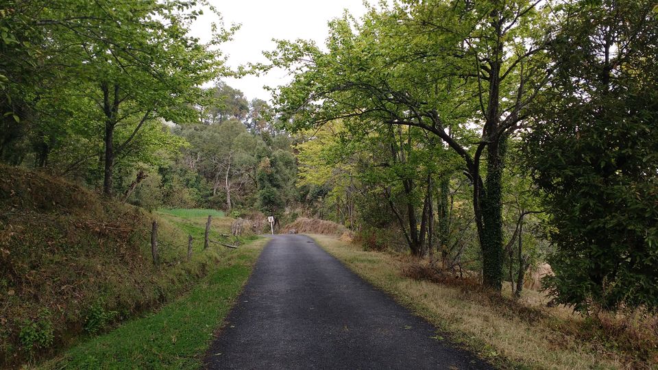Photo of The joy of missing out - Kausani in pictures 2/7 by Debarati Dasgupta