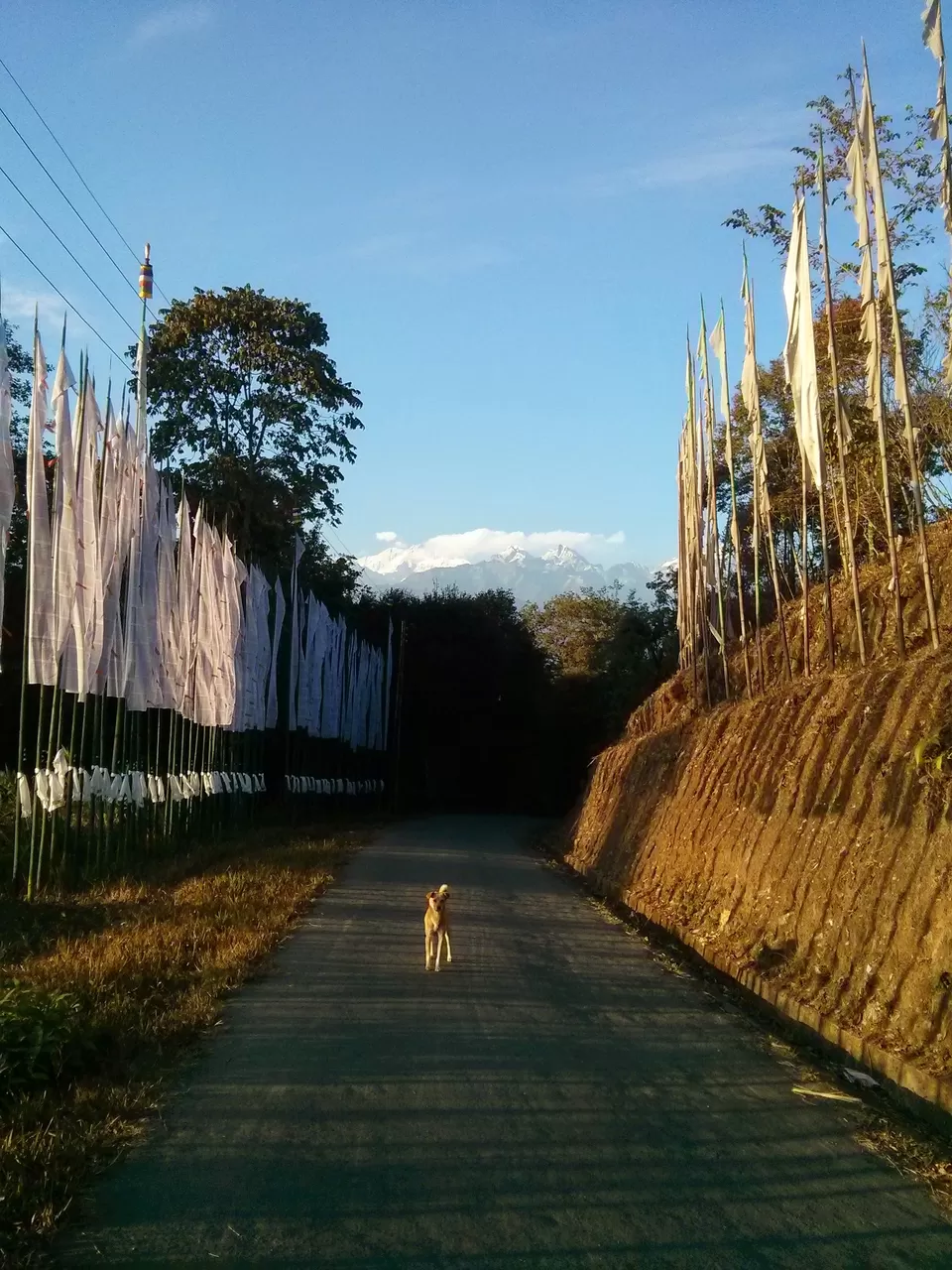 Photo of Rinchenpong, Sikkim, India by Debarati Dasgupta
