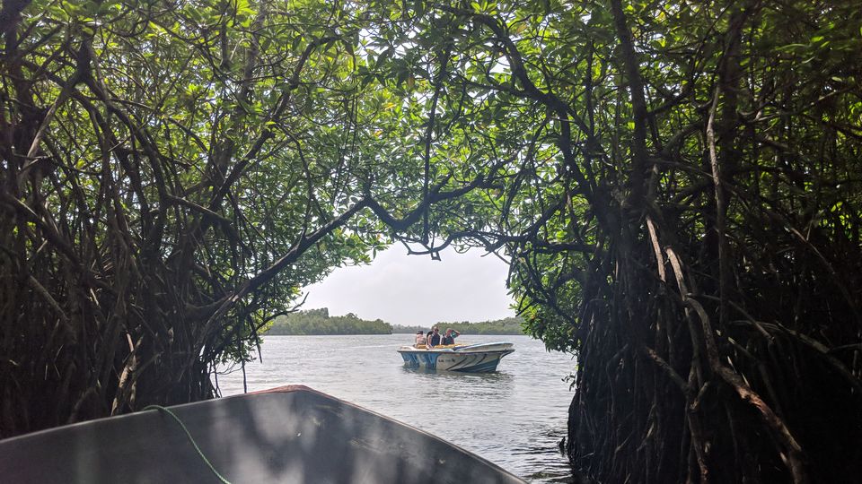 Photo of Madu River Safari, Balapitiya, Sri Lanka by Debarati Dasgupta