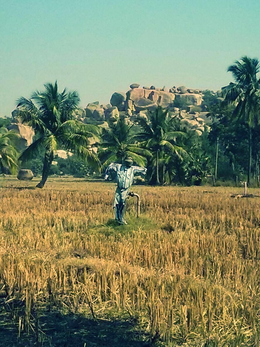 Photo of Ruins of a bygone era: 4 things to do in Hampi 2/17 by Debarati Dasgupta