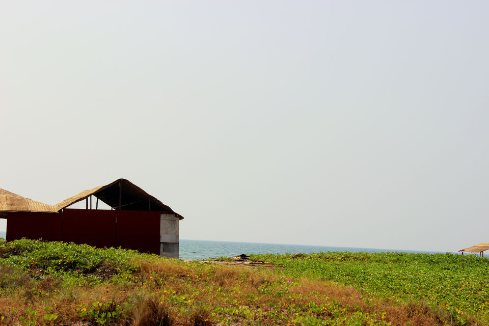 Photo of A road trip to GOA 14/23 by Mrunal Jani