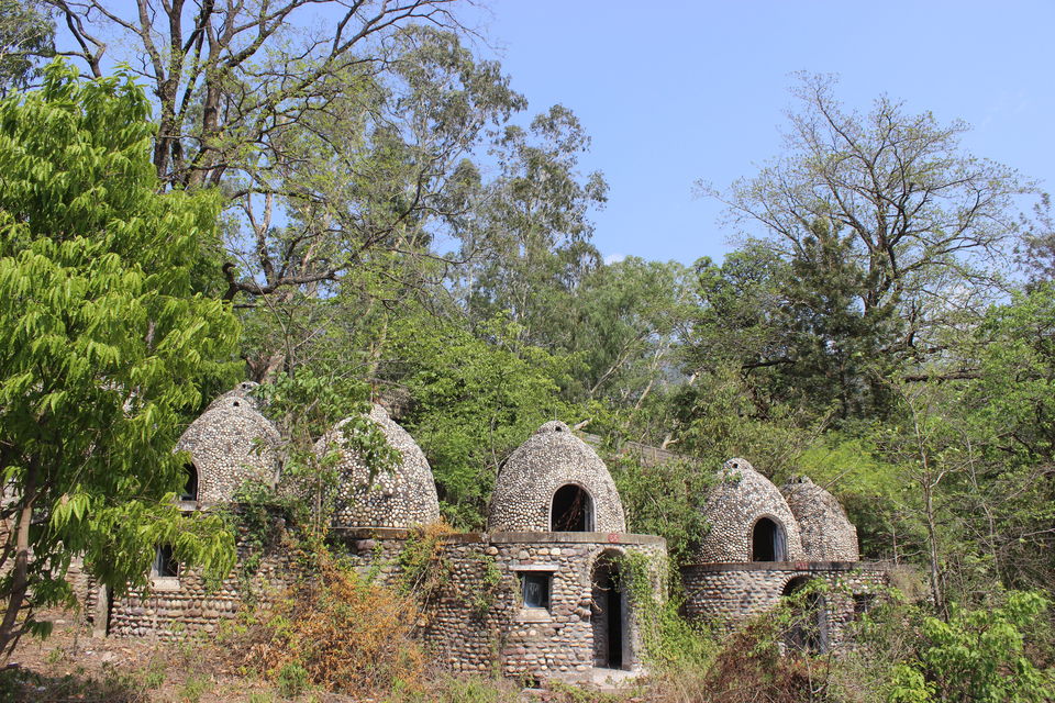 Photo of Rishikesh beyond temples and sadhus 2/12 by Mrunal Jani