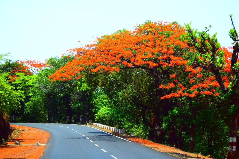 Photo of Ganpatipule- The Kokan coast of Maharashtra..... 7/10 by mayuri