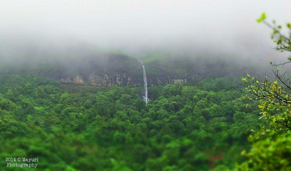 Photo of Best five monsoon places near Pune 2/10 by mayuri