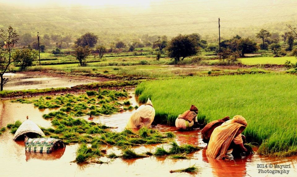 Photo of Best five monsoon places near Pune 3/10 by mayuri