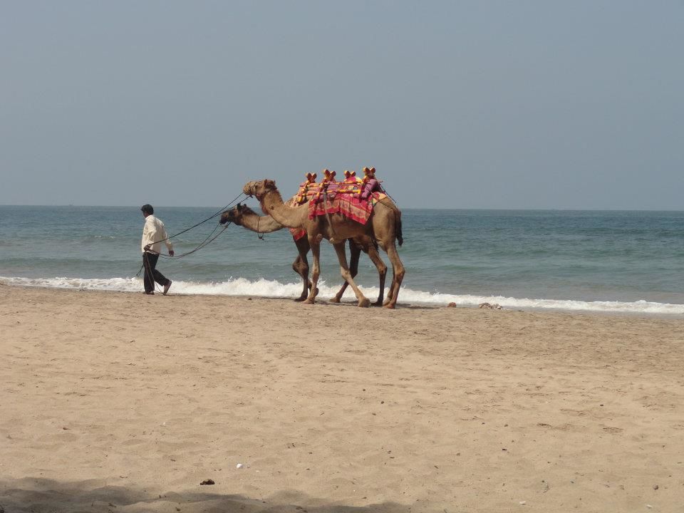 Photo of Ganpatipule- The Kokan coast of Maharashtra..... 1/10 by mayuri