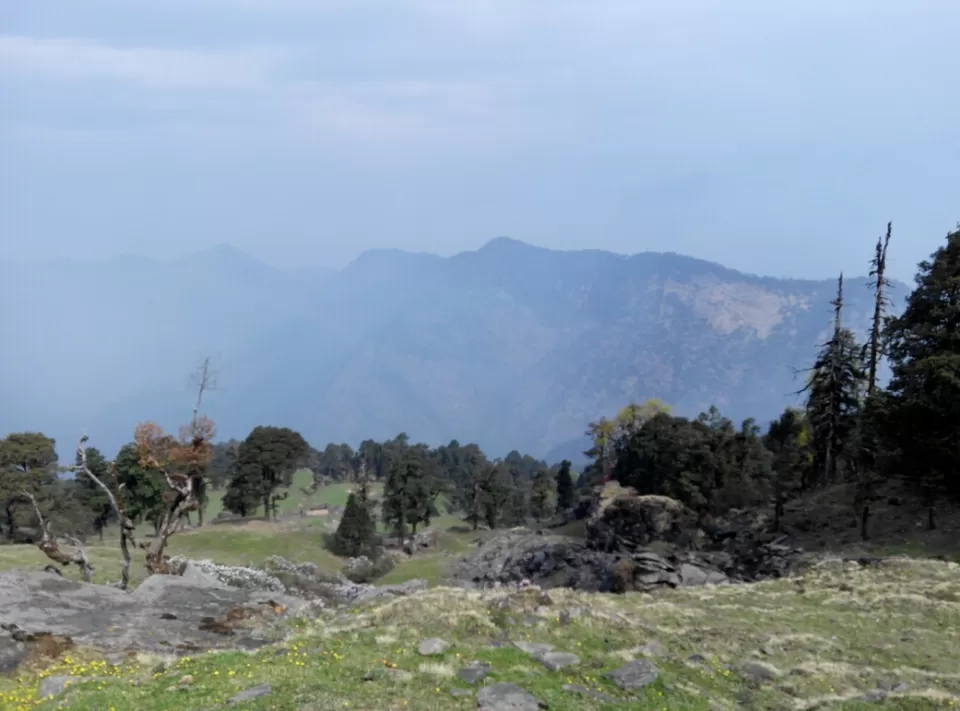 Photo of Chopta, Uttarakhand 246495, India by Rajput Harish Singh Karki