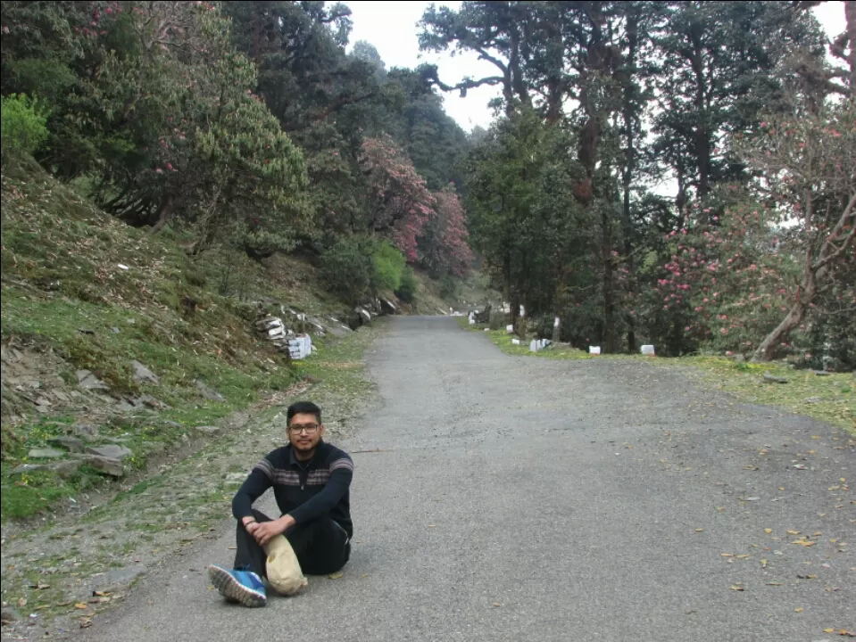 Photo of Chopta, Uttarakhand 246495, India by Rajput Harish Singh Karki