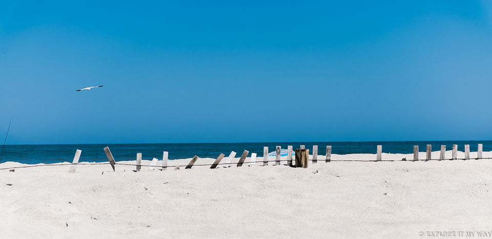 Photo of Top 10 Best Places To Visit In Maryland 3/16 by Saswati Bhoi