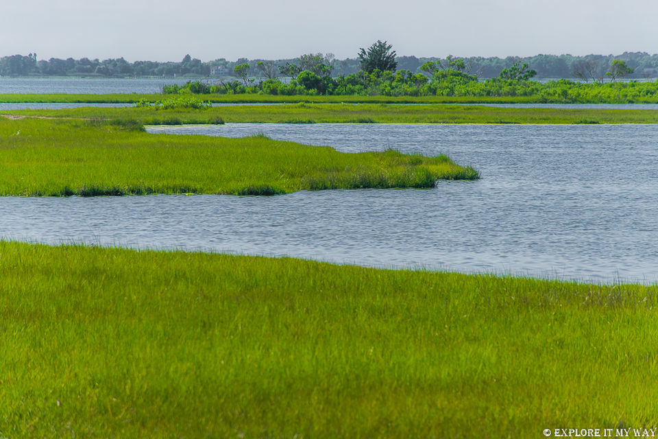 Photo of Top 10 Best Places To Visit In Maryland 5/16 by Saswati Bhoi
