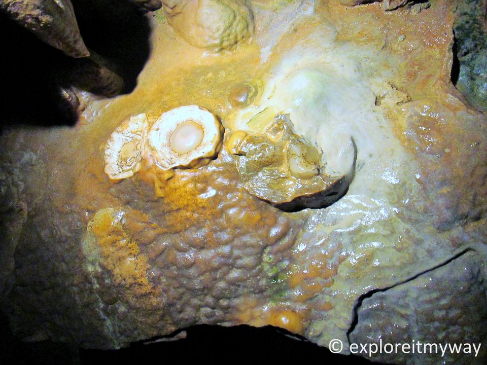 Photo of The home of wonders: Luray Caverns 11/18 by Saswati Bhoi