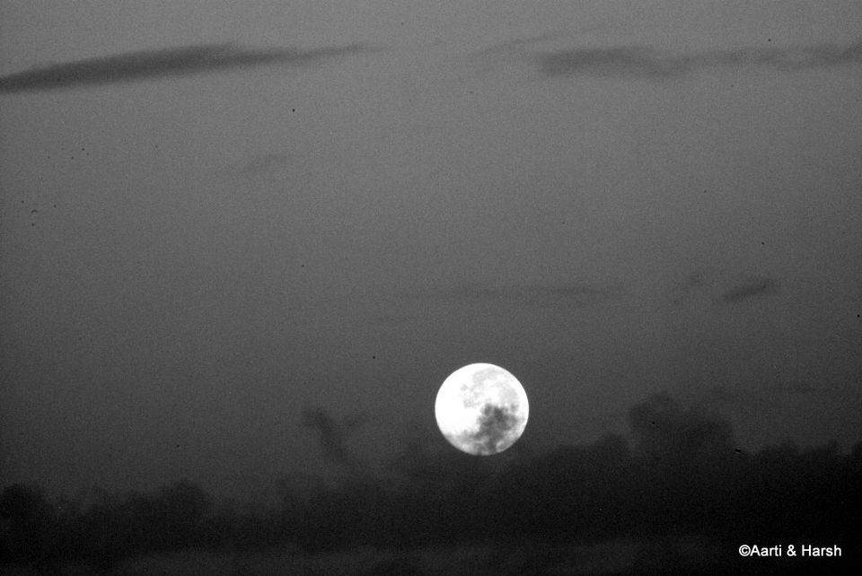 Photo of Chandratal: Journey to the Moon Lake 1/48 by Harsh Vardhan
