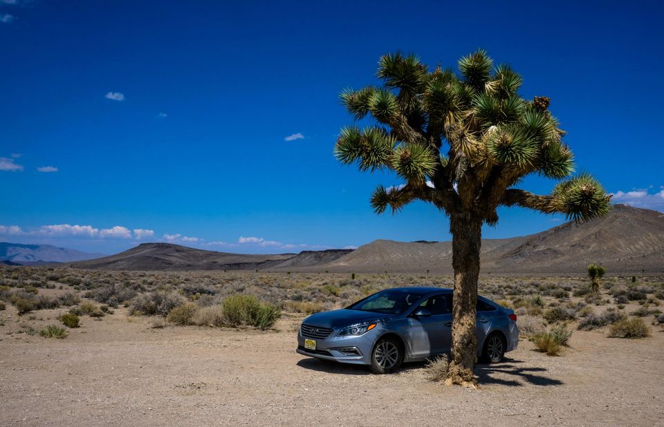 Photo of Driving across the USA – Twice and then some more – In Alaska 55/158 by Harsh Vardhan