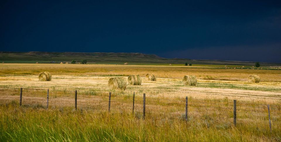 Photo of Driving across the USA – Twice and then some more – In Alaska 16/158 by Harsh Vardhan