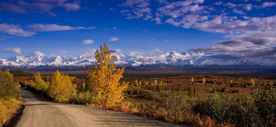 Photo of Driving across the USA – Twice and then some more – In Alaska 145/158 by Harsh Vardhan