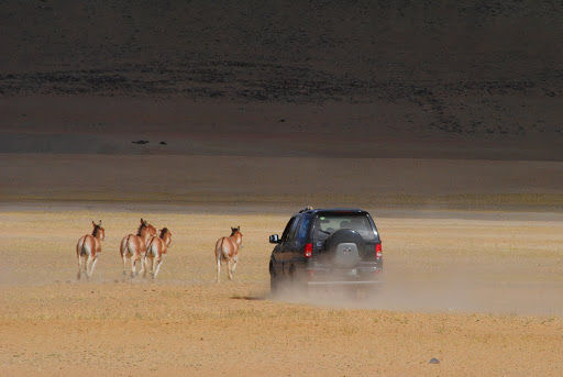 Photo of 4500 km, Two Idiots & a Wild Safari in Ladakh 7/17 by Harsh Vardhan