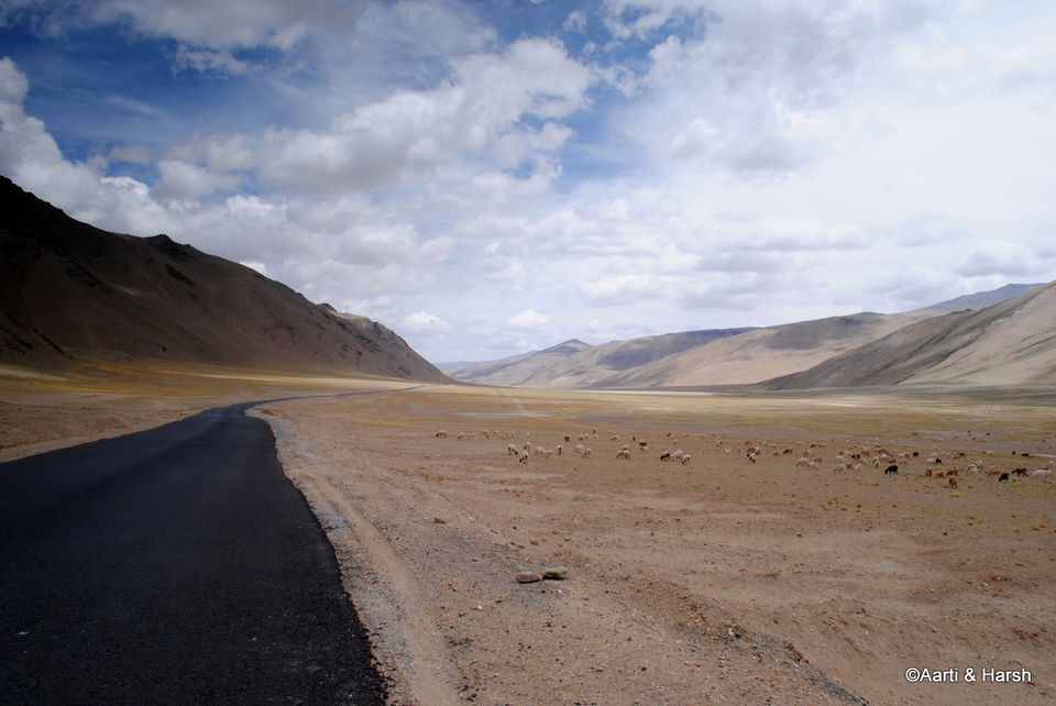 Photo of Six wanderers ride to Ladakh 89/121 by Harsh Vardhan