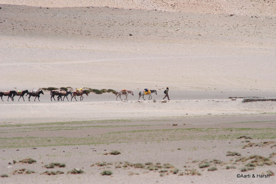 Photo of Six wanderers ride to Ladakh 94/121 by Harsh Vardhan