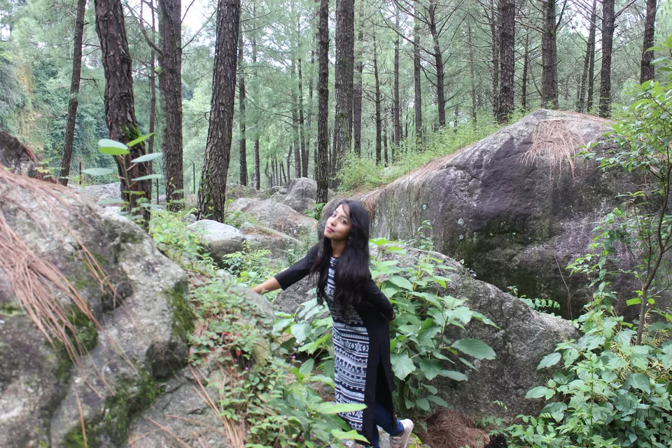 Photo of Saurabh Van Vihar, Bundla Kandi Road, Uwarna, Palampur, Himachal Pradesh, India by Abhinaw Chauhan