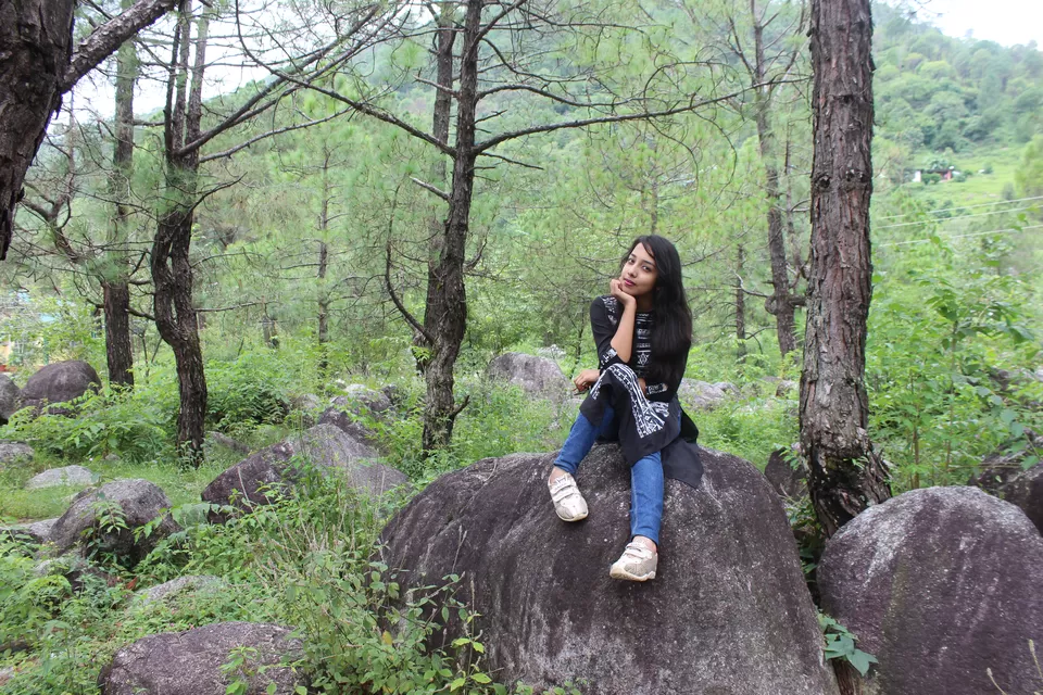 Photo of Saurabh Van Vihar, Bundla Kandi Road, Uwarna, Palampur, Himachal Pradesh, India by Abhinaw Chauhan