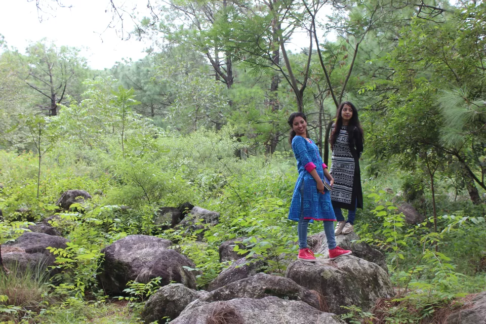 Photo of Saurabh Van Vihar, Bundla Kandi Road, Uwarna, Palampur, Himachal Pradesh, India by Abhinaw Chauhan