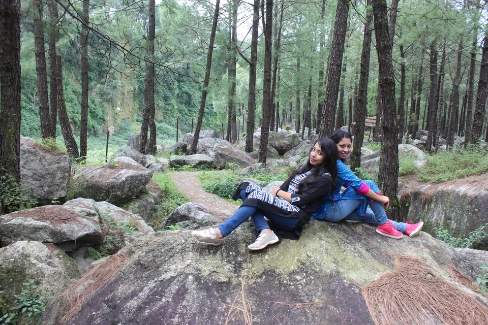 Photo of Saurabh Van Vihar, Bundla Kandi Road, Uwarna, Palampur, Himachal Pradesh, India by Abhinaw Chauhan