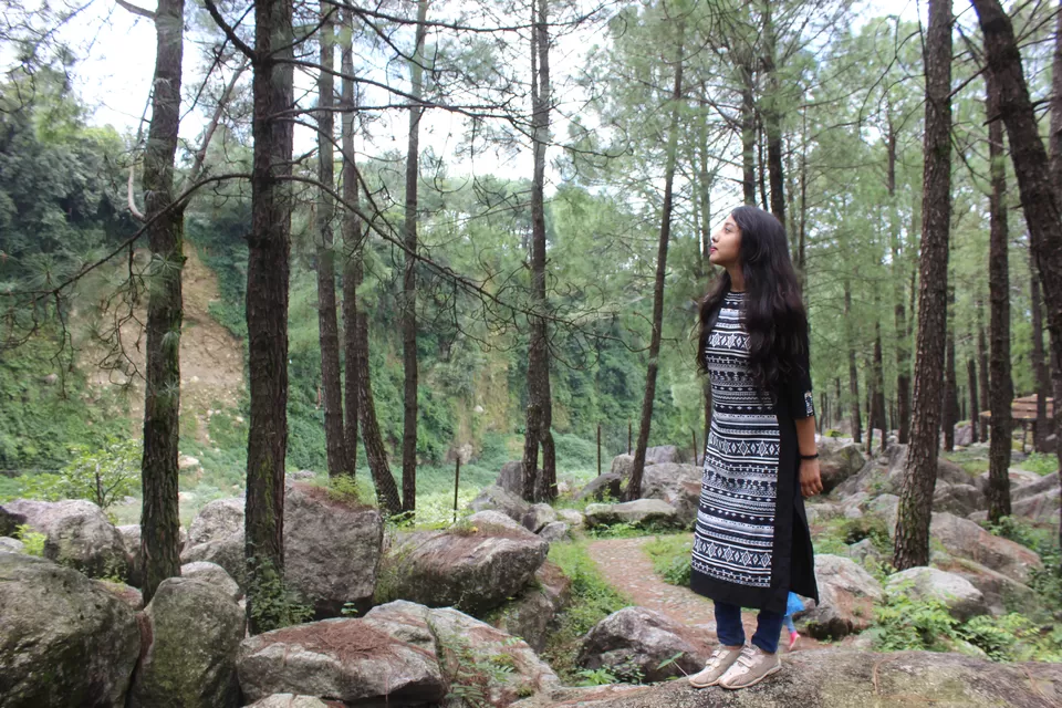 Photo of Saurabh Van Vihar, Bundla Kandi Road, Uwarna, Palampur, Himachal Pradesh, India by Abhinaw Chauhan