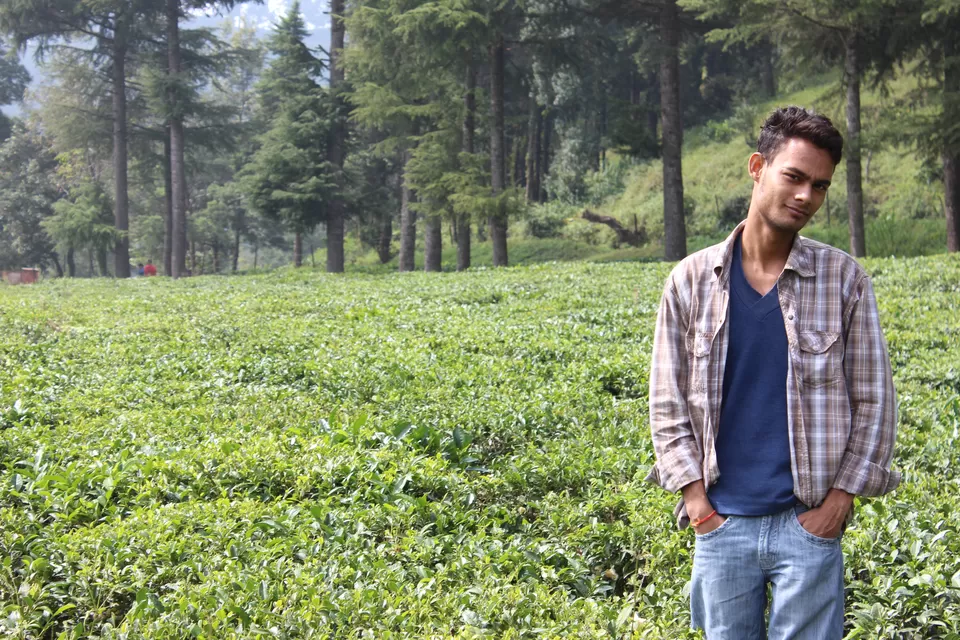 Photo of Palampur Tea garen, Palampur, Himachal Pradesh, India by Abhinaw Chauhan