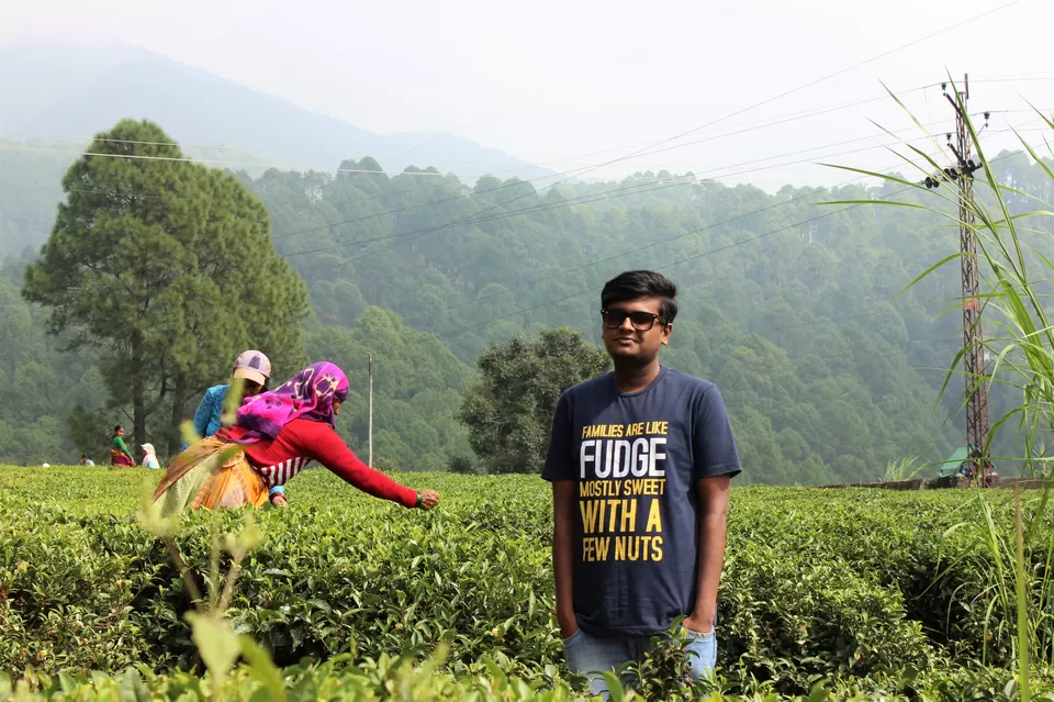 Photo of Tea Garden Shaymkhet, Sukha, Uttarakhand, India by Abhinaw Chauhan