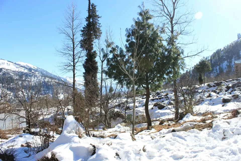 Photo of Manali, Himachal Pradesh, India by Abhinaw Chauhan