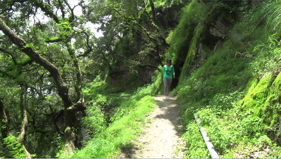 Photo of LANSDOWNE: The Virgin Hills by Abhinaw Chauhan