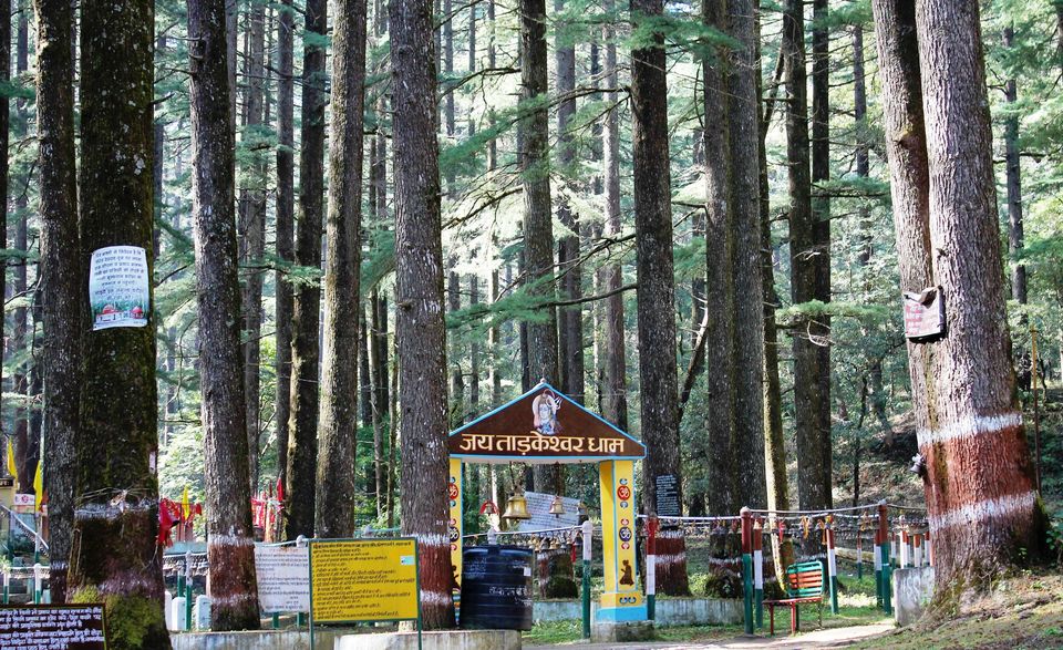 Photo of Tarkeshwar Mahadev, Tarkeshwar Road, Malara Bara, Uttarakhand, India by Abhinaw Chauhan