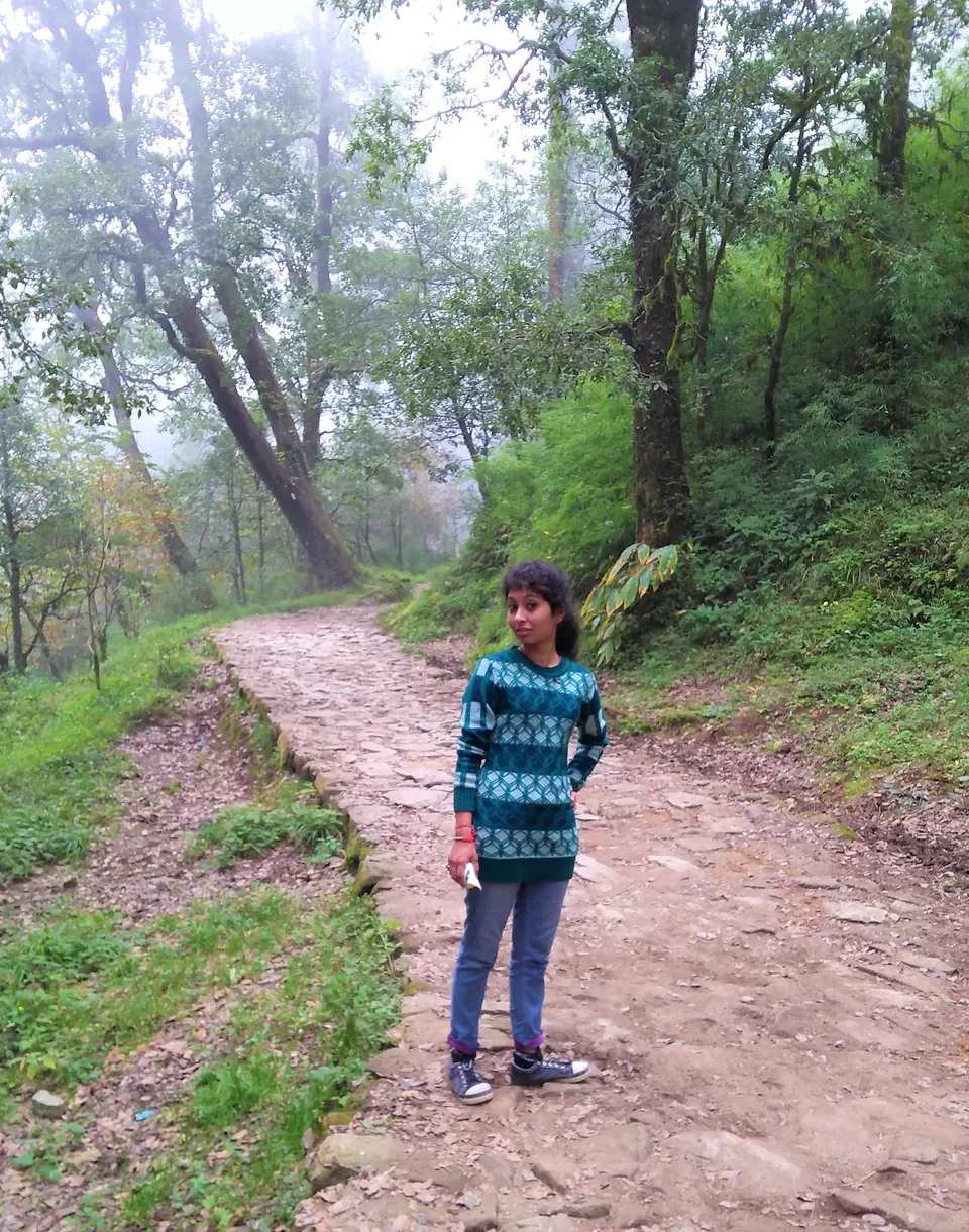 Photo of Dorothy's Seat -Tiffin Top, Ayarpatta, Nainital, Uttarakhand, India by Abhinaw Chauhan