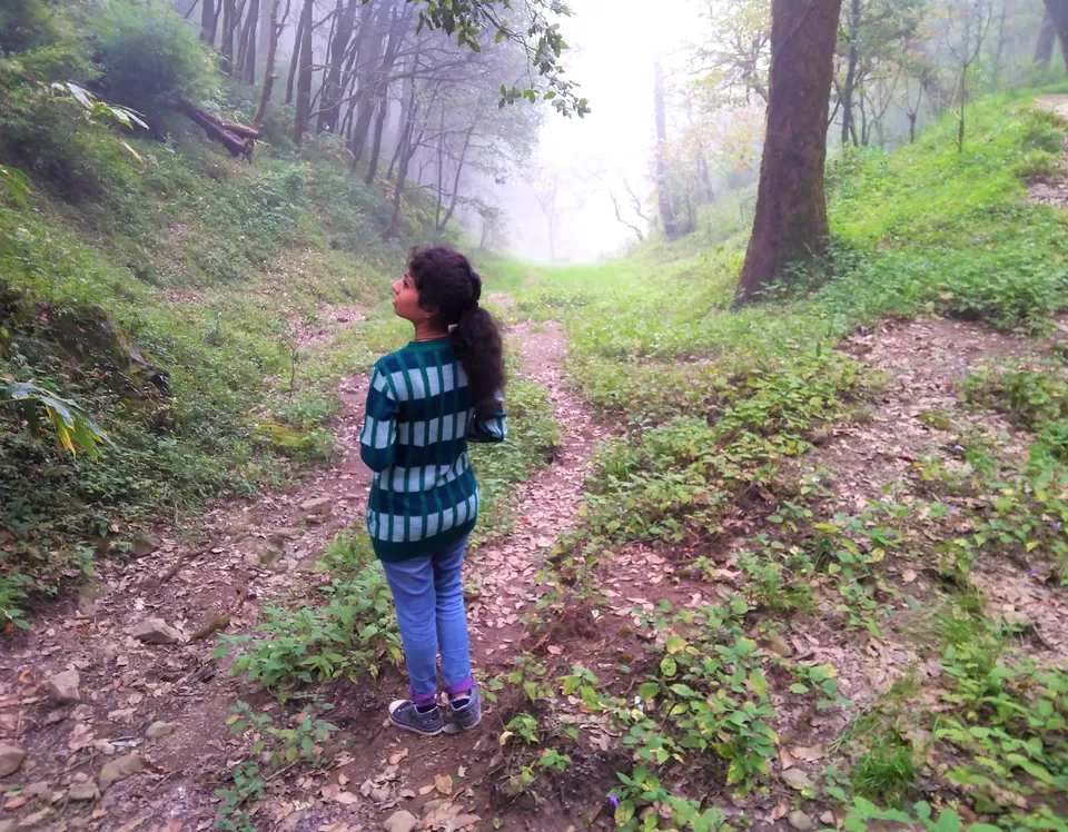 Photo of Dorothy's Seat -Tiffin Top, Ayarpatta, Nainital, Uttarakhand, India by Abhinaw Chauhan