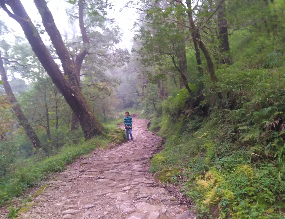 Photo of Dorothy's Seat -Tiffin Top, Ayarpatta, Nainital, Uttarakhand, India by Abhinaw Chauhan