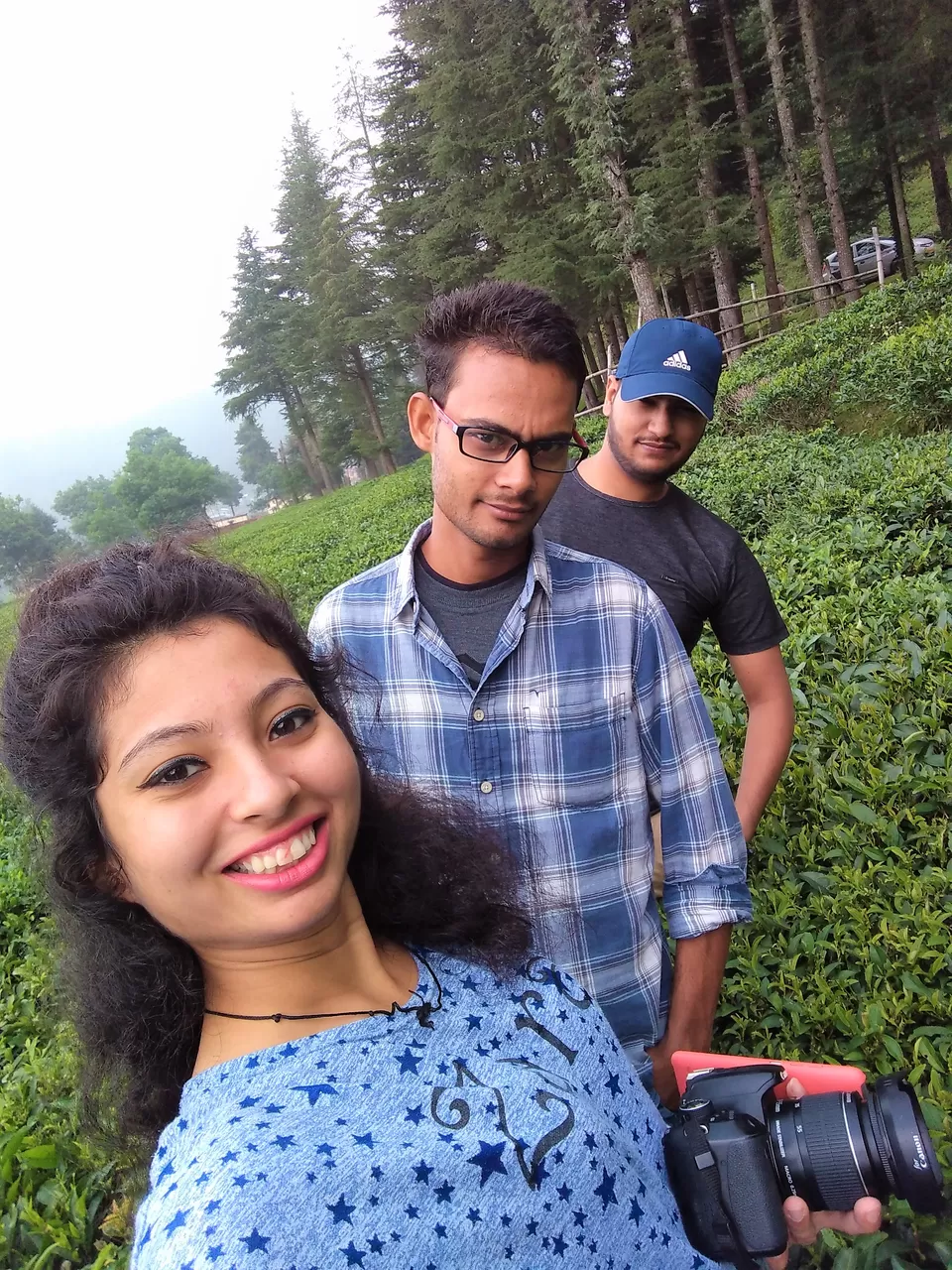 Photo of Tea Garden Shyamkhet, Bhowali-Gorkhakhal Road, Shyamkhet, Sukha, Uttarakhand, India by Abhinaw Chauhan