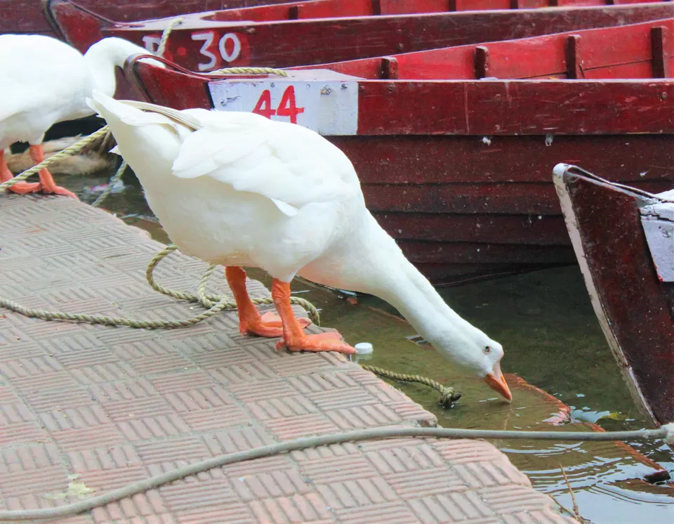 Photo of Bhimtal, Uttarakhand, India by Abhinaw Chauhan