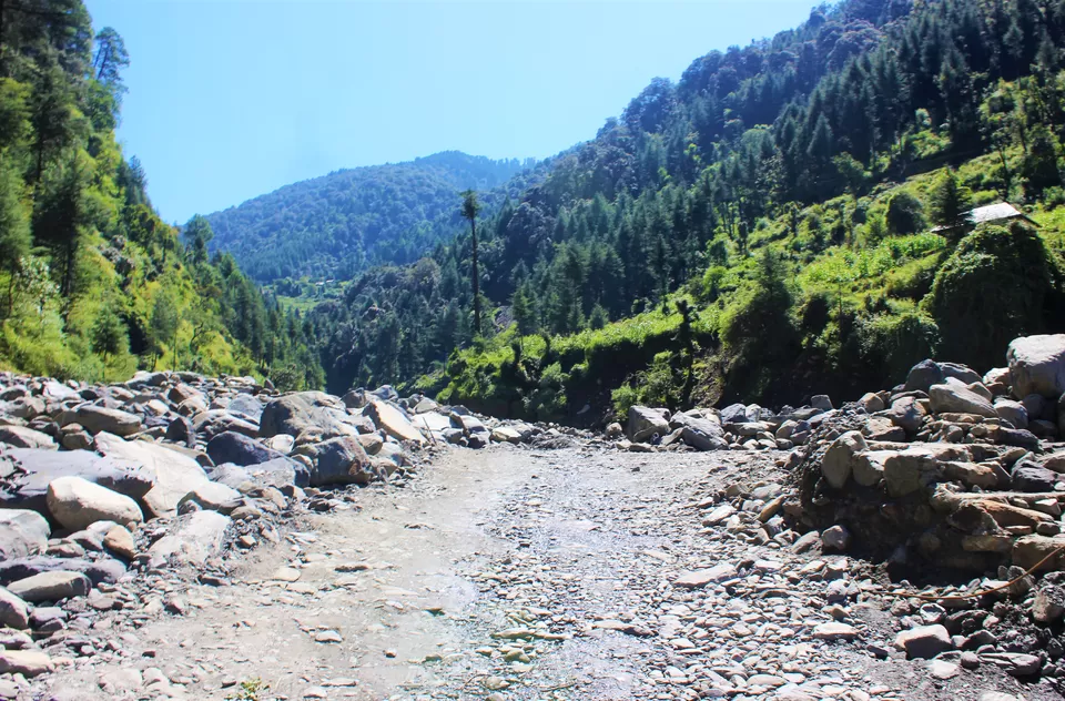 Photo of Bagi, Himachal Pradesh, India by Abhinaw Chauhan